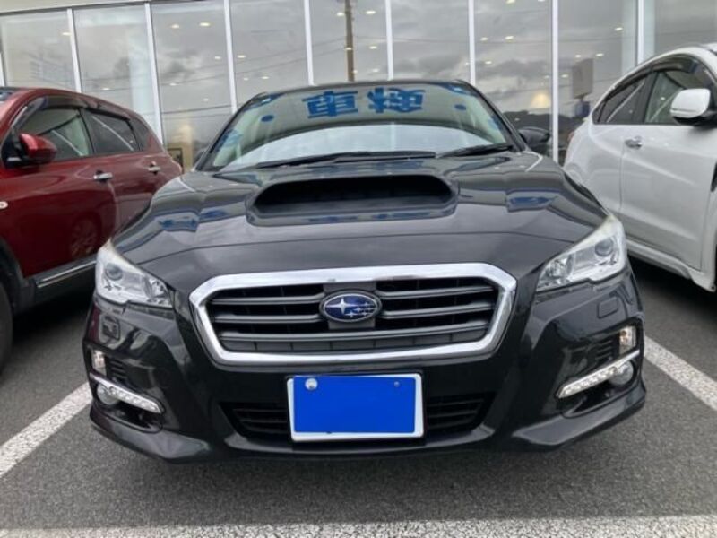 LEVORG-0