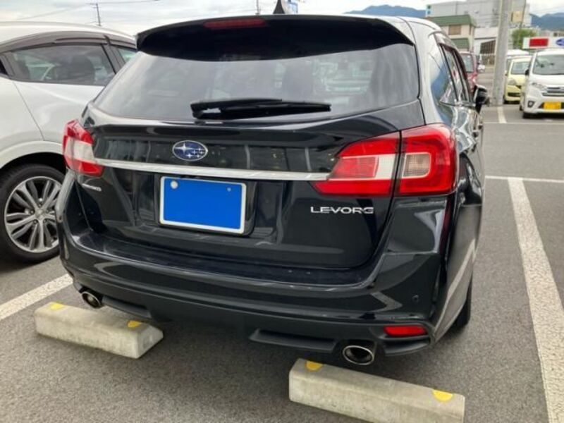 LEVORG