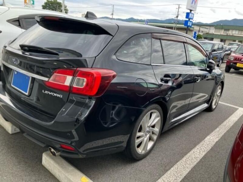 LEVORG