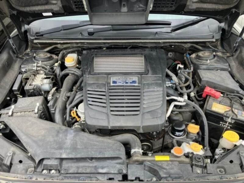 LEVORG