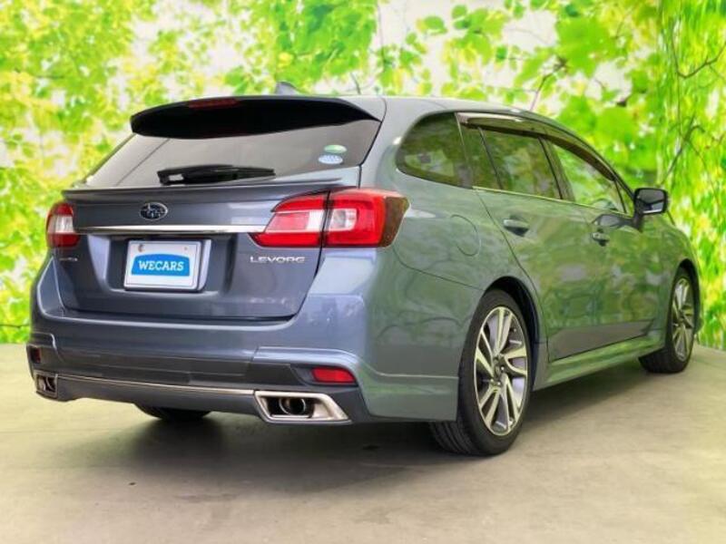 LEVORG