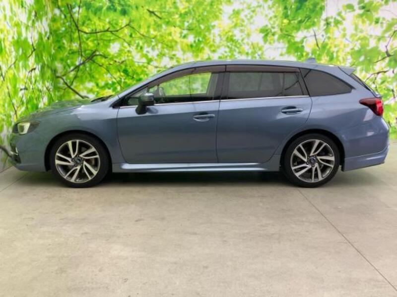 LEVORG