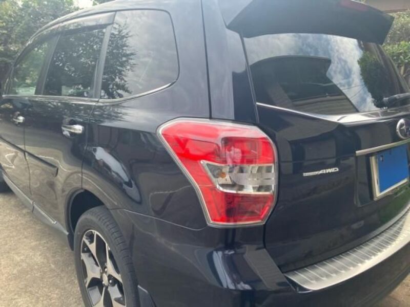 FORESTER