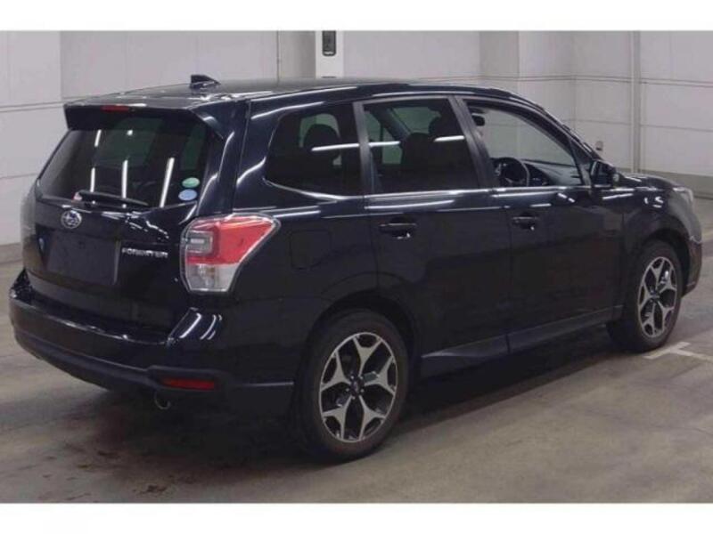 FORESTER