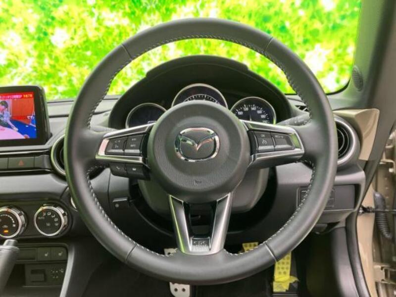 ROADSTER