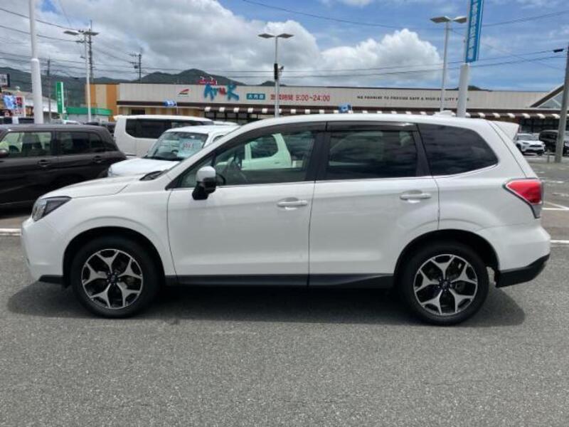 FORESTER
