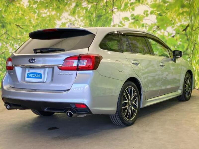 LEVORG