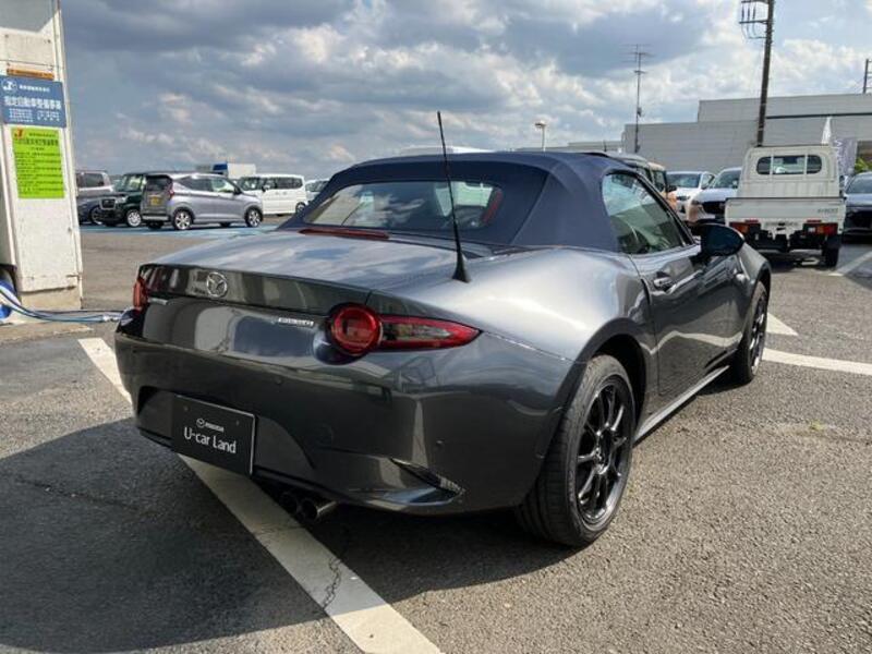 ROADSTER