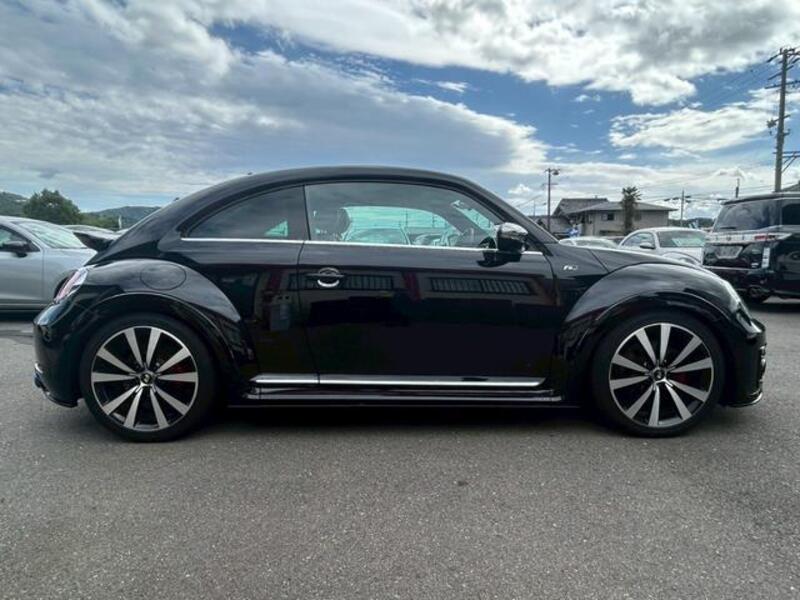 THE BEETLE