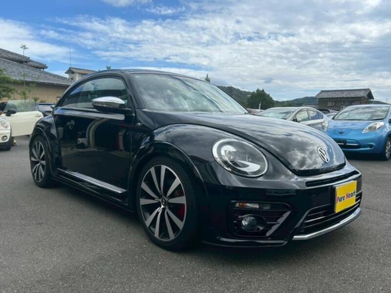 THE BEETLE