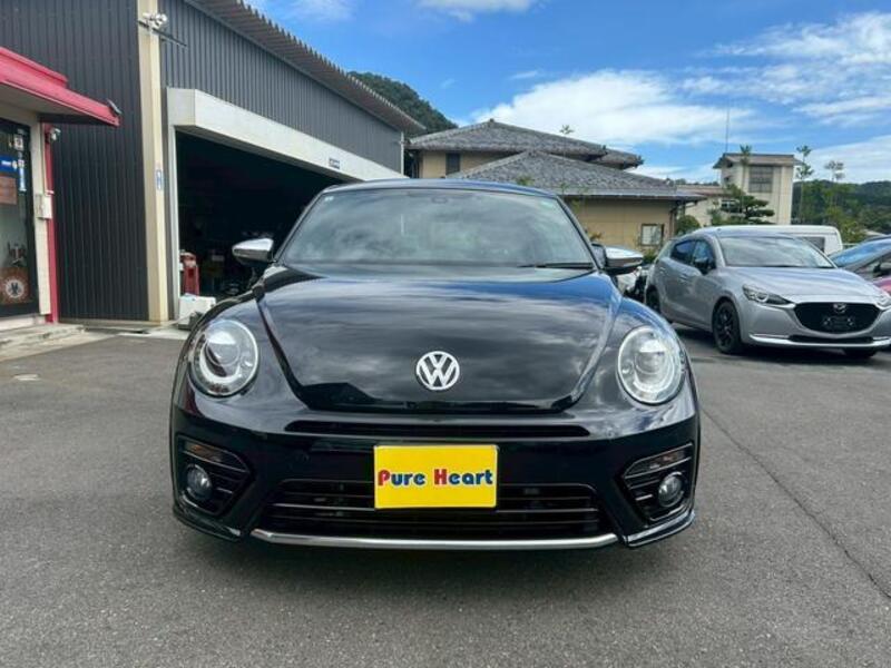 THE BEETLE