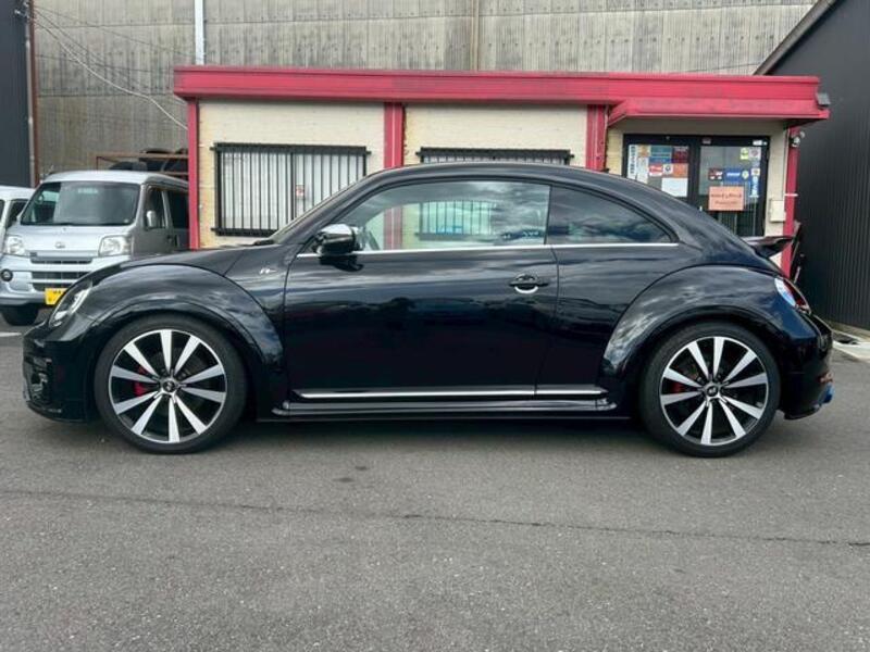 THE BEETLE