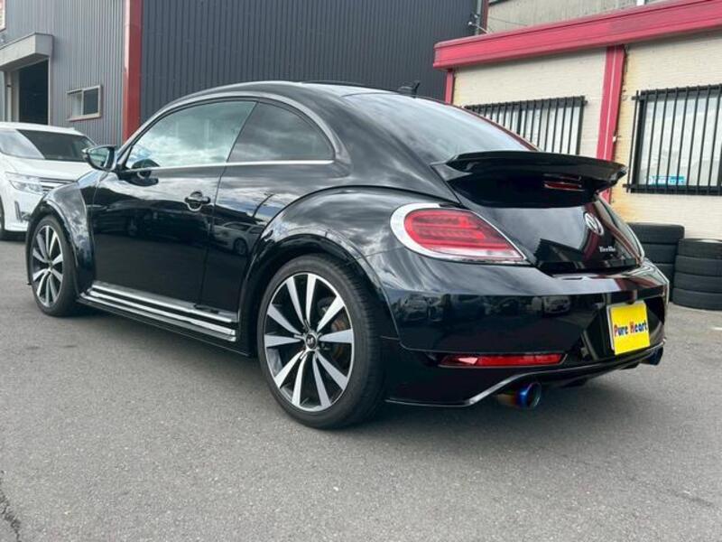 THE BEETLE
