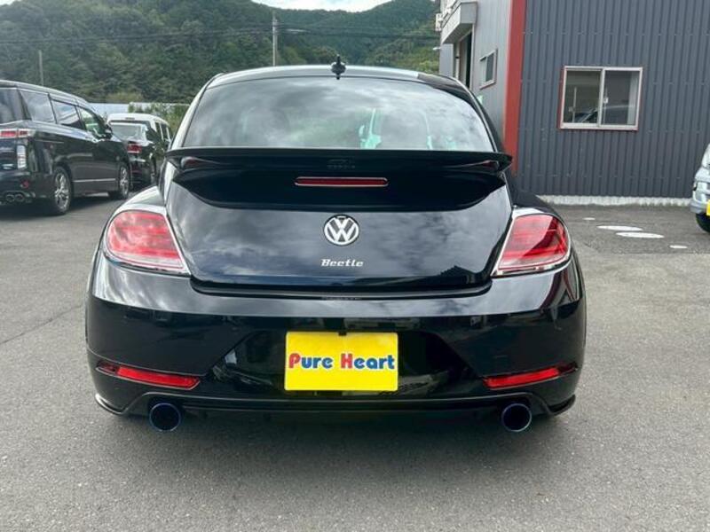 THE BEETLE