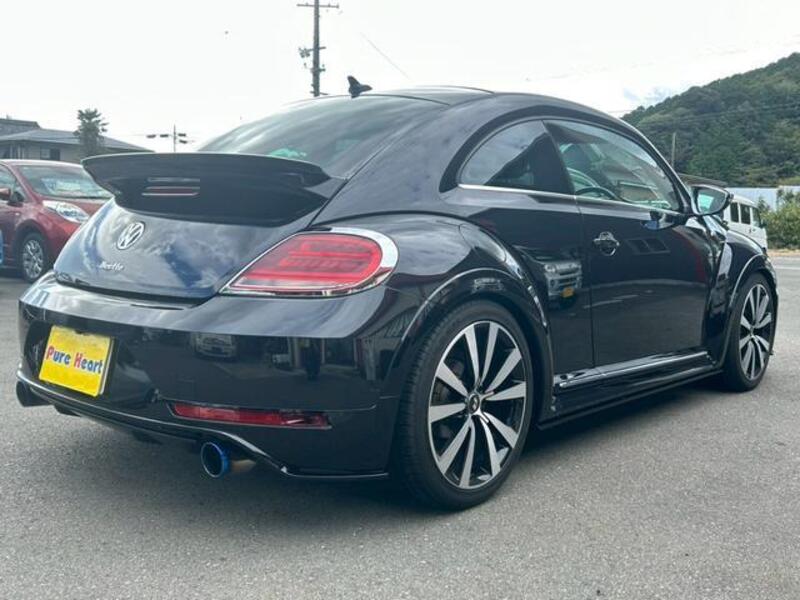 THE BEETLE