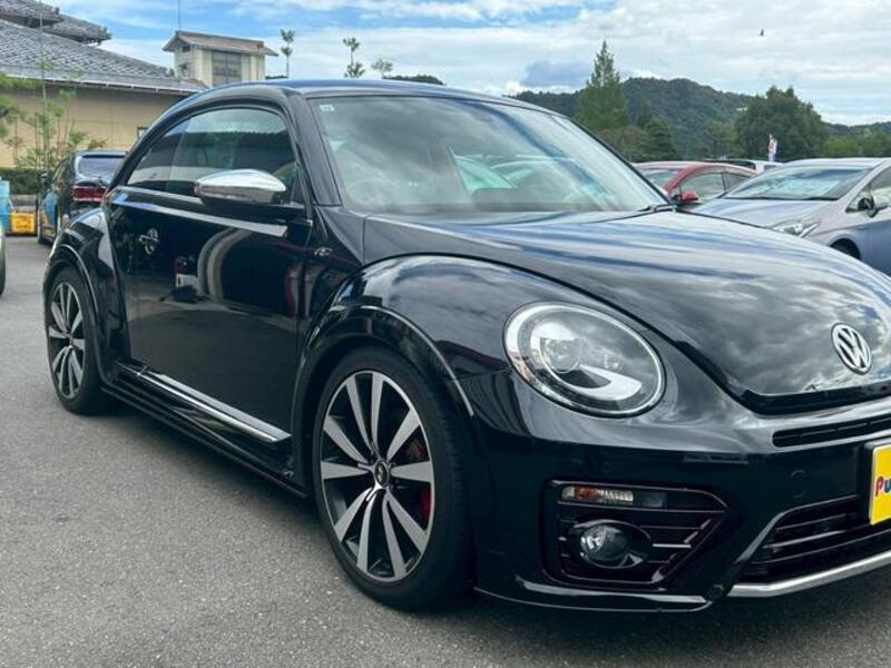 THE BEETLE