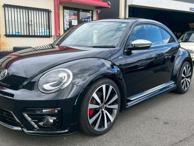 THE BEETLE