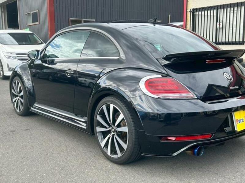 THE BEETLE
