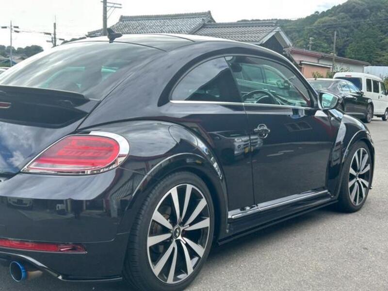 THE BEETLE