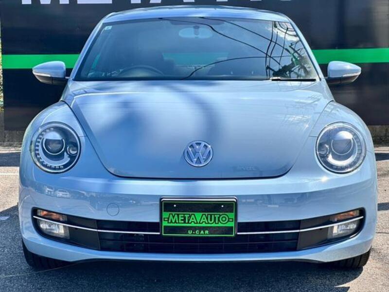 THE BEETLE