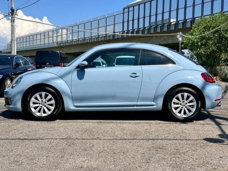 THE BEETLE
