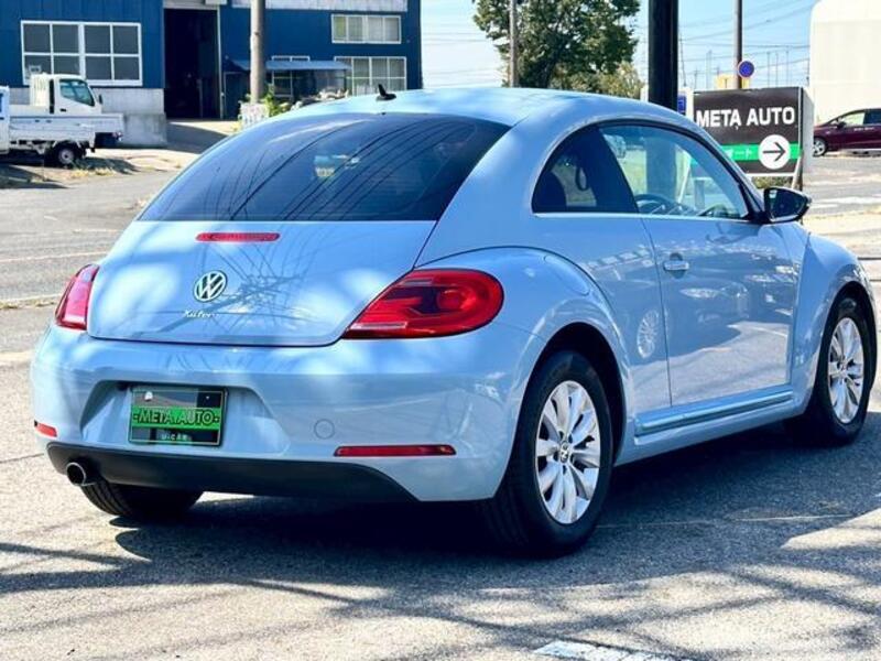 THE BEETLE