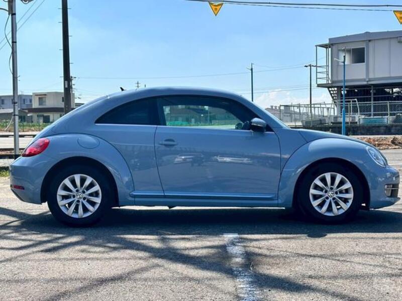 THE BEETLE