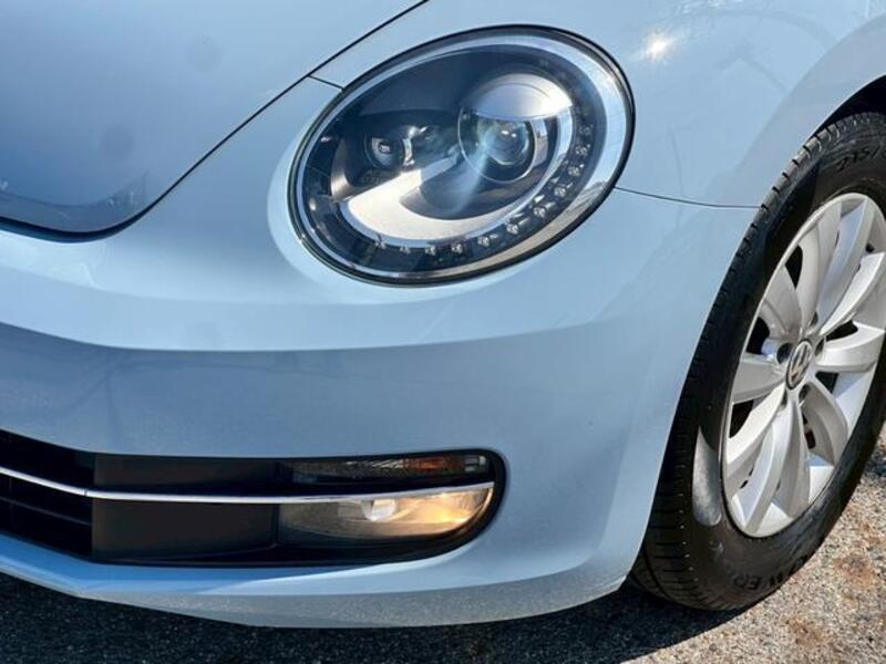 THE BEETLE