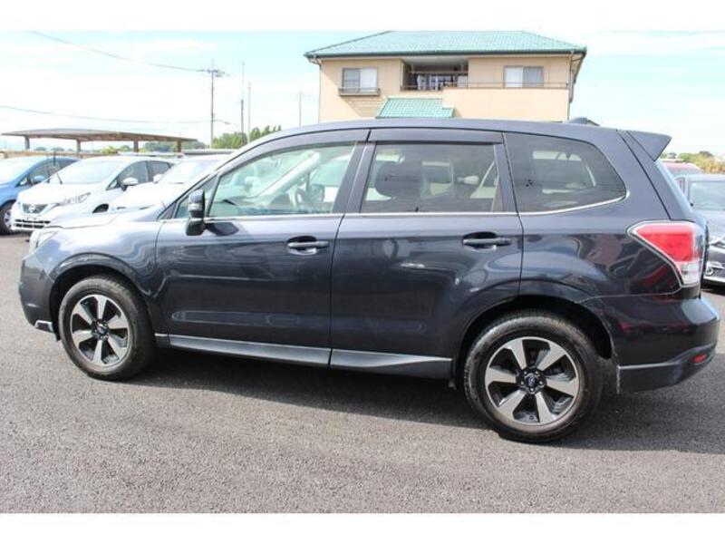 FORESTER