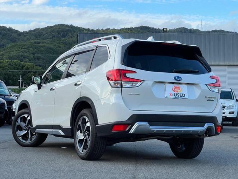 FORESTER
