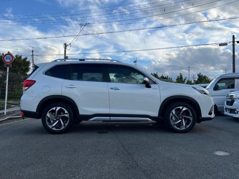 FORESTER