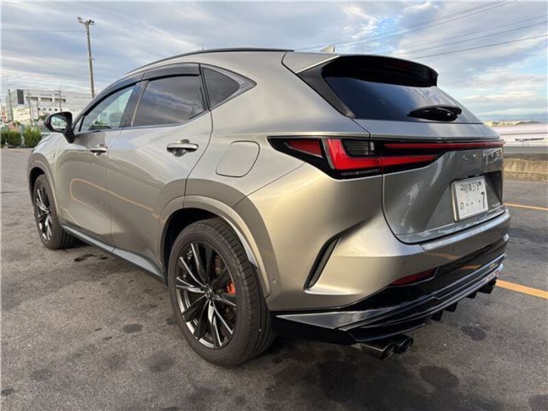 NX
