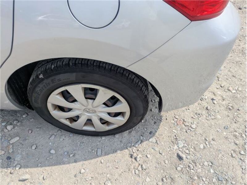 AURIS