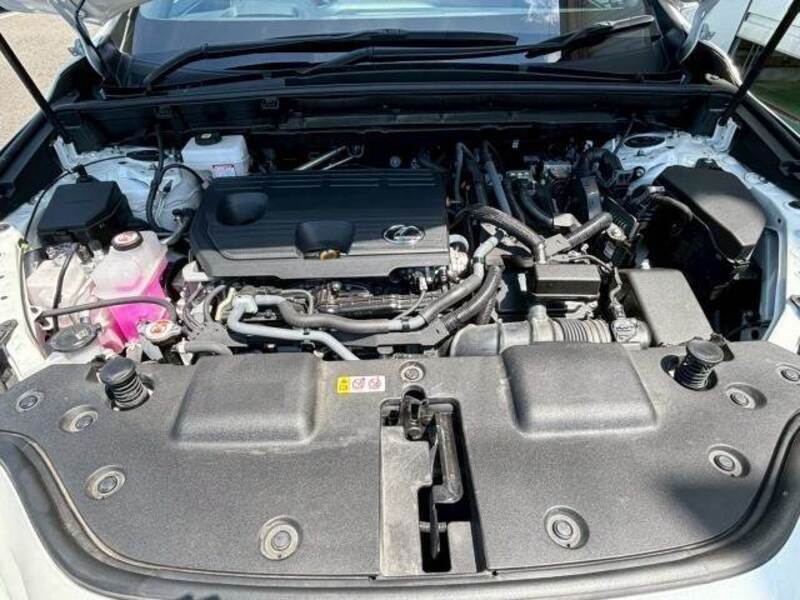 NX