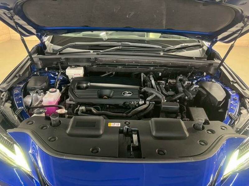 NX