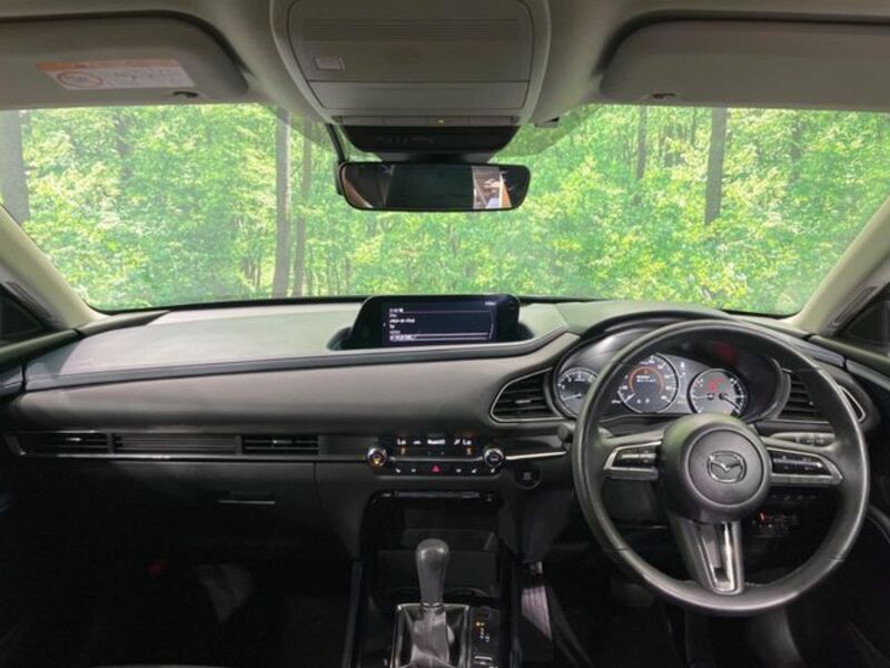 CX-30