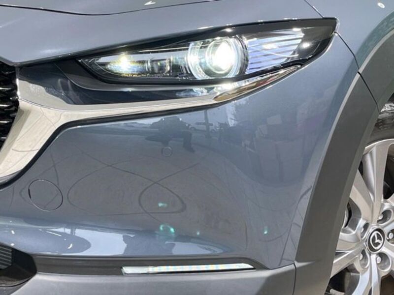 CX-30