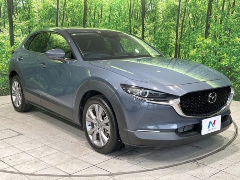 CX-30