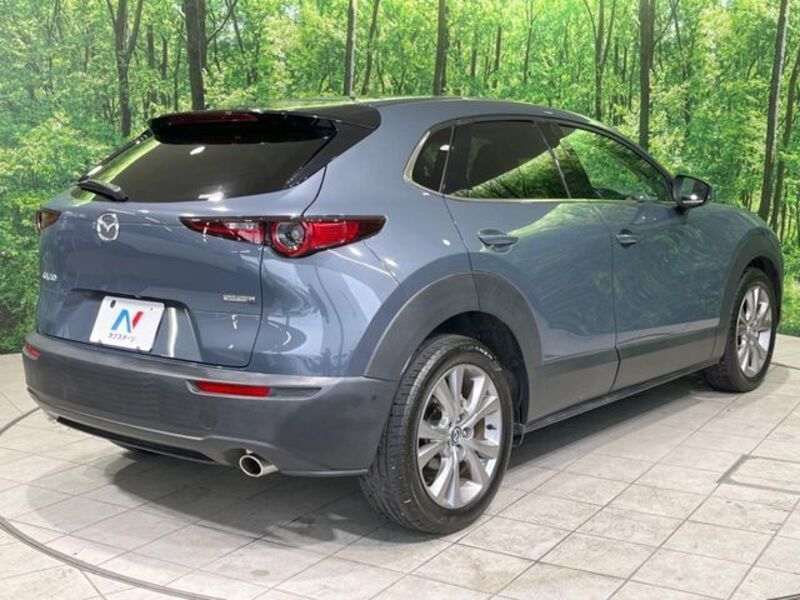 CX-30