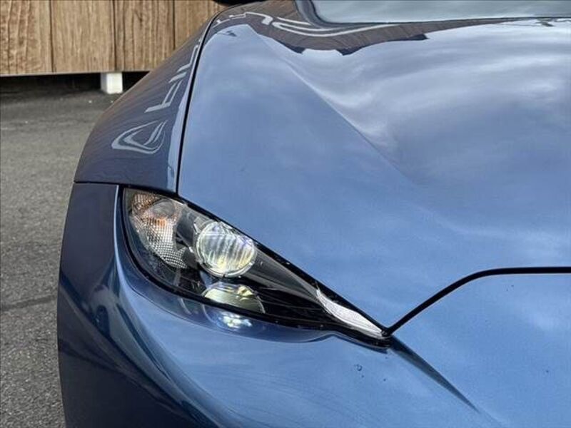 ROADSTER