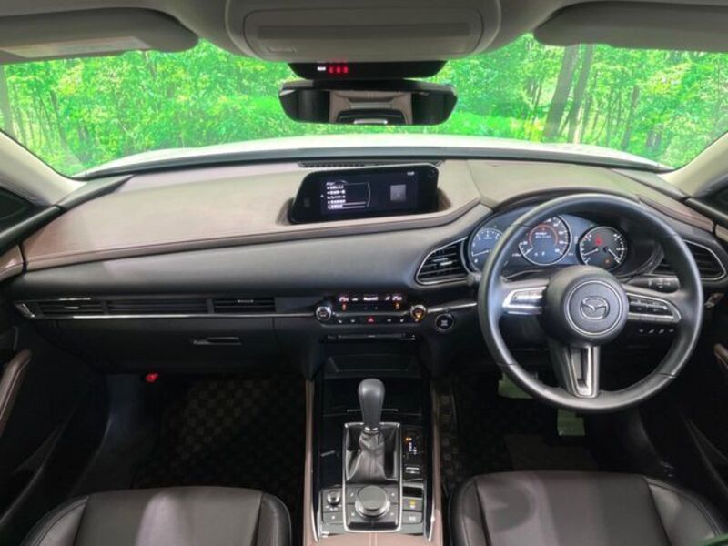 CX-30