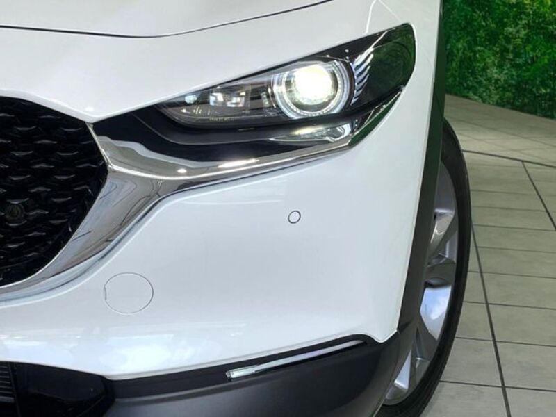 CX-30