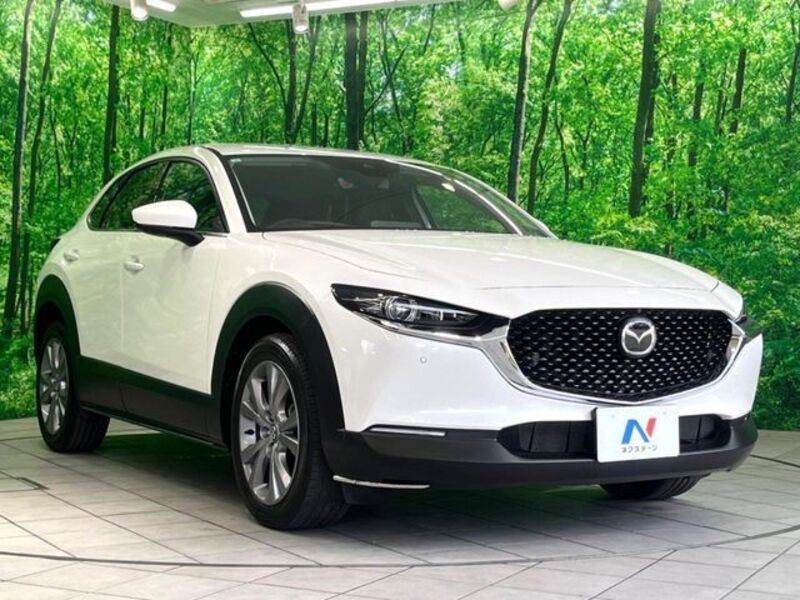 CX-30