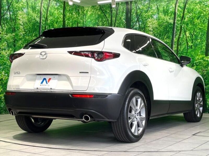 CX-30