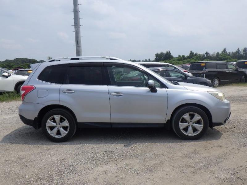 FORESTER