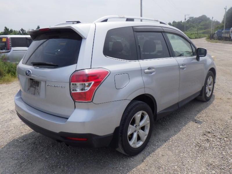 FORESTER