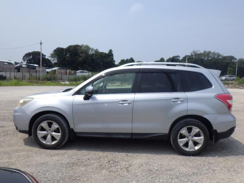 FORESTER