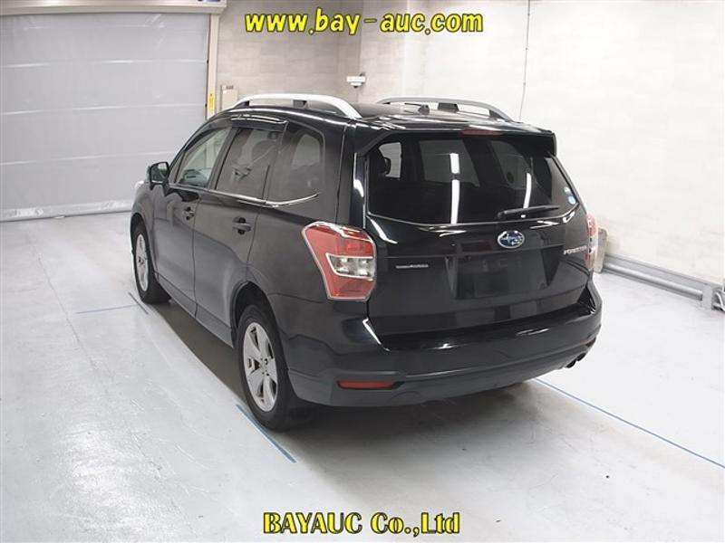 FORESTER