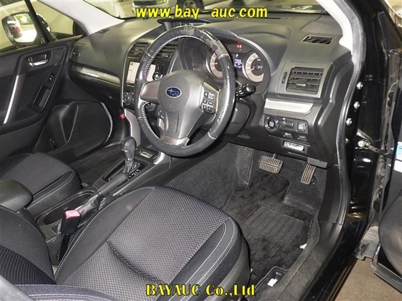 FORESTER