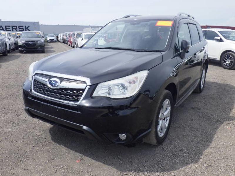 FORESTER